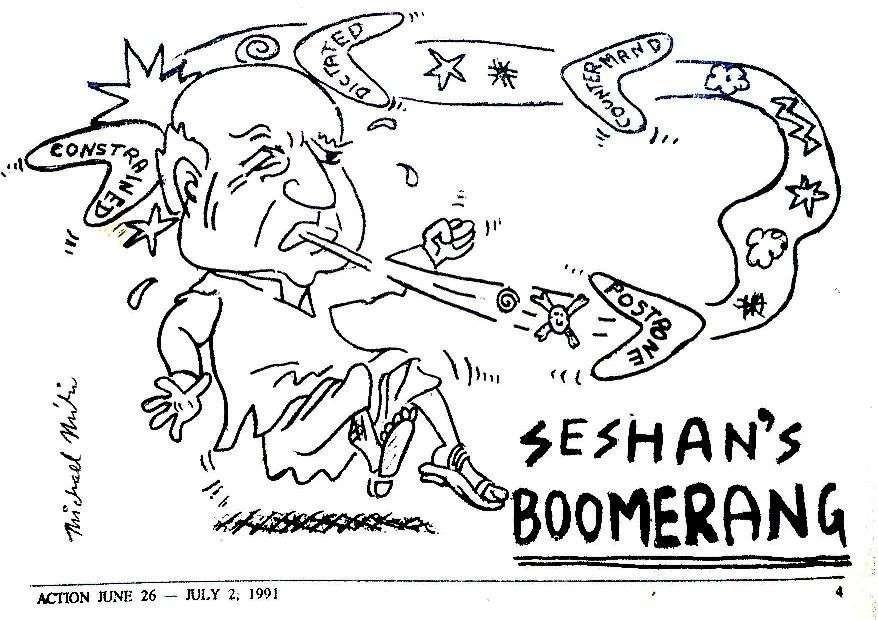 Seshan’s Boomerang — artwork by Michael Mili